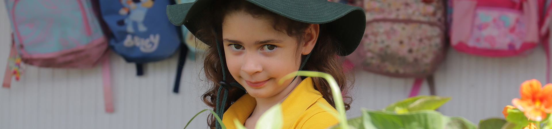 North East Metro LDC